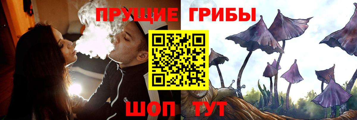 Бахчисарай  Галлюциногенные грибы GOLDEN TEACHER  сколько стоит  Вход с VPN 